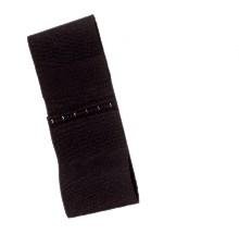Fascia Elastica